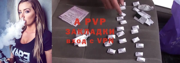PSILOCYBIN Лихославль