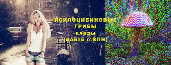 крисы Ладушкин